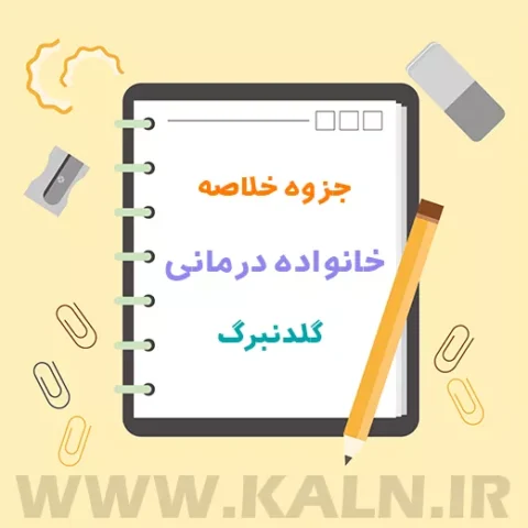 دانلود جزوه خلاصه خانواده درمانی گلدنبرگ | PDF